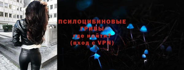 мяу мяу мука Баксан