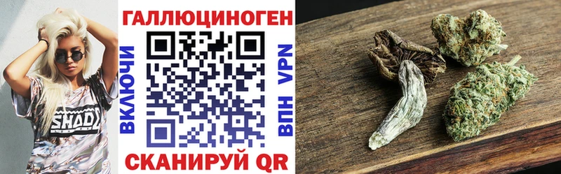 Псилоцибиновые грибы ЛСД  omg ссылки  Порхов 
